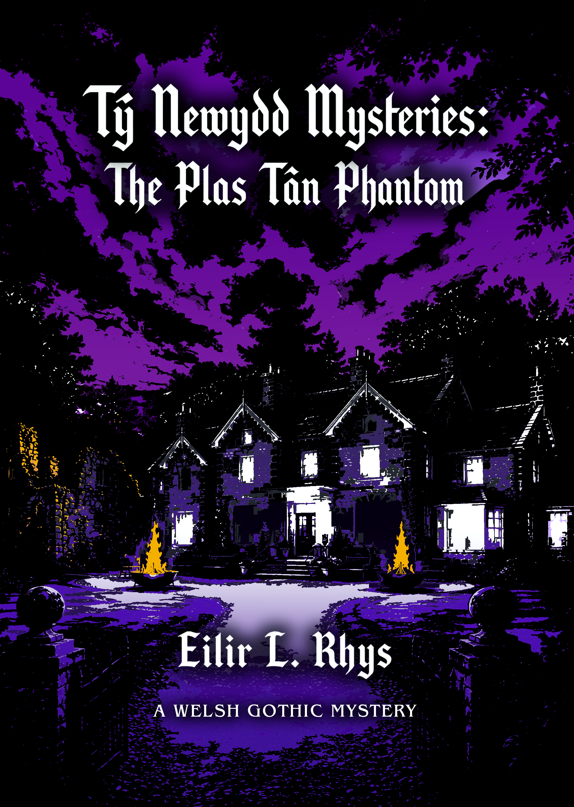 Tŷ Newydd Mysteries: The Plas Tân Phantom cover